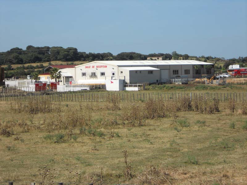 Salle Helena_30800 SAINT GILLES
